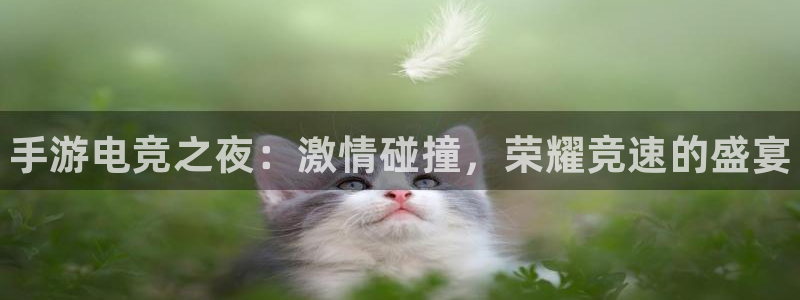 乐鱼电竞：手游电竞之夜：激情碰撞，荣耀竞速的盛宴