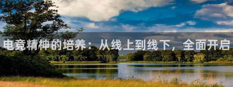 乐鱼电竞英雄联盟app官方：电竞精神的培养：从线上到线下，全面开启