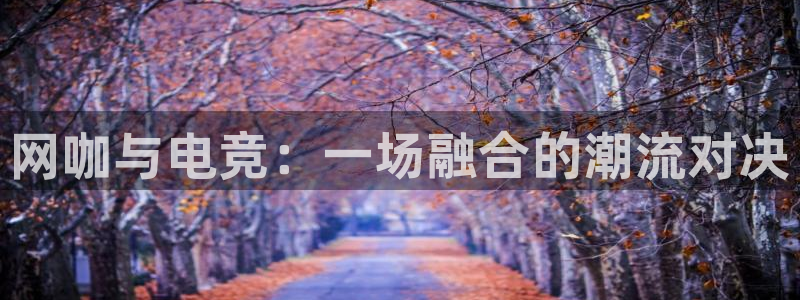 乐鱼电竞下载：网咖与电竞：一场融合的潮流对决