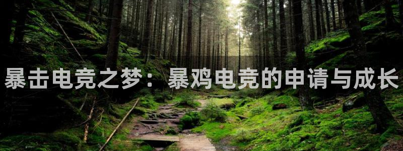 乐鱼电竞app：暴击电竞之梦：暴鸡电竞的申请与成长