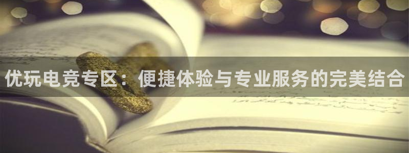 乐鱼电竞网站：优玩电竞专区：便捷体验与专业服务的完美结合