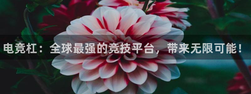 乐鱼电竞英雄联盟app官方：电竞杠：全球最强的竞技平台，带来无限可能！