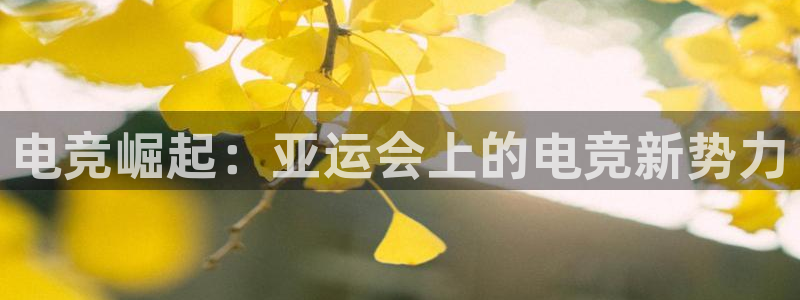 乐鱼电竞平台：电竞崛起：亚运会上的电竞新势力