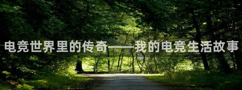 乐鱼电竞app下载：电竞世界里的传奇——我的电竞生活故事