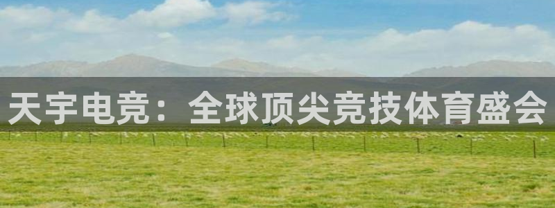 乐鱼电竞英雄联盟app官方：天宇电竞：全球顶尖竞技体育盛会