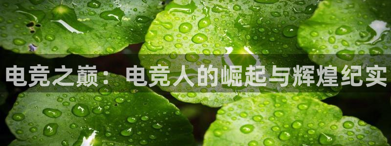 乐鱼电竞英雄联盟app官方：电竞之巅：电竞人的崛起与辉煌纪实