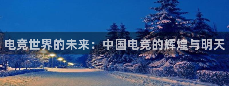 乐鱼电竞app：电竞世界的未来：中国电竞的辉煌与明天
