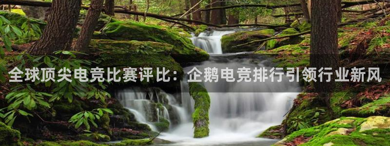 乐鱼电竞app下载：全球顶尖电竞比赛评比：企鹅电竞排行引领行业新风