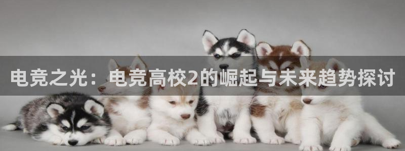 乐鱼电竞官网：电竞之光：电竞高校2的崛起与未来趋势探讨