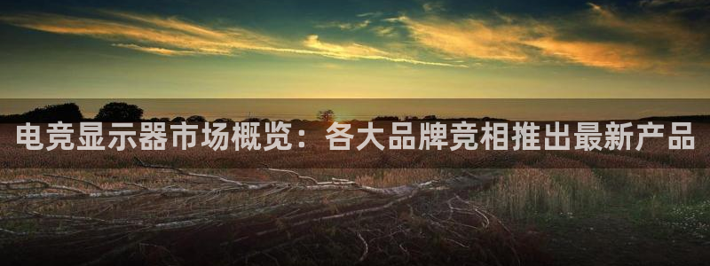 乐鱼电竞官网：电竞显示器市场概览：各大品牌竞相推出最新产品