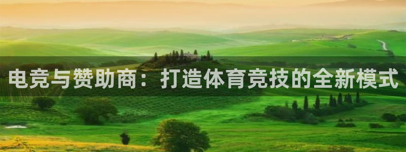 乐鱼电竞官网：电竞与赞助商：打造体育竞技的全新模式