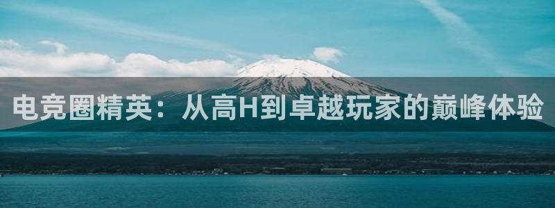 乐鱼电竞官网：电竞圈精英：从高H到卓越玩家的巅峰体验