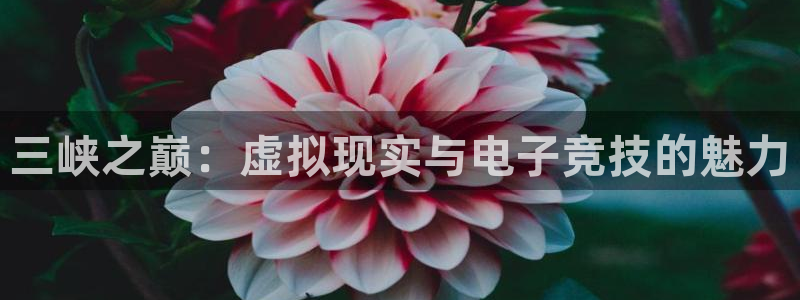 乐鱼电竞官网：三峡之巅：虚拟现实与电子竞技的魅力