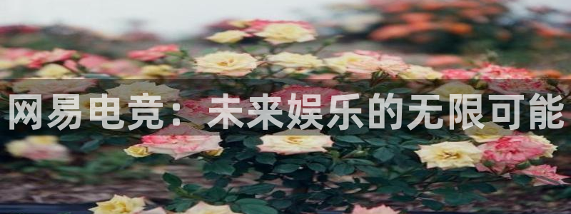 乐鱼电竞平台：网易电竞：未来娱乐的无限可能