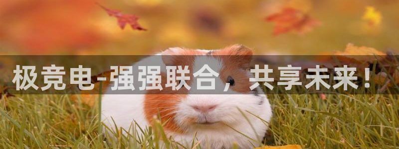乐鱼电竞平台：极竞电-强强联合，共享未来！