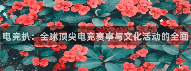 乐鱼电竞下载：电竞扒：全球顶尖电竞赛事与文化活动的全面
