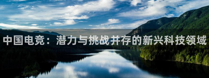 乐鱼电竞下载：中国电竞：潜力与挑战并存的新兴科技领域