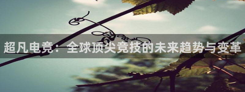乐鱼电竞英雄联盟app官方：超凡电竞：全球顶尖竞技的未来趋势与变革
