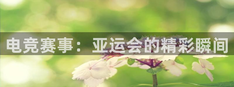 乐鱼电竞网站：电竞赛事：亚运会的精彩瞬间