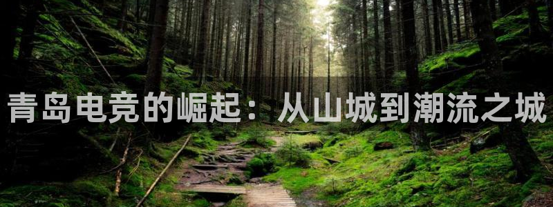 乐鱼电竞app下载：青岛电竞的崛起：从山城到潮流之城