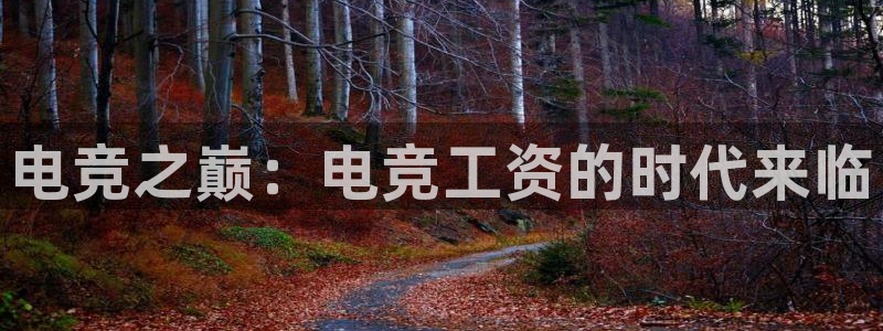 乐鱼电竞app：电竞之巅：电竞工资的时代来临