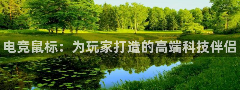 乐鱼电竞英雄联盟app官方：电竞鼠标：为玩家打造的高端科技伴侣