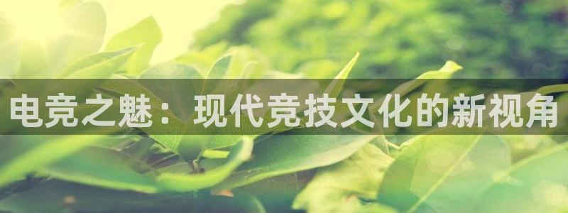 乐鱼电竞官网：电竞之魅：现代竞技文化的新视角