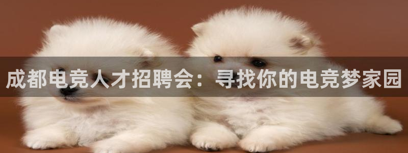 乐鱼电竞英雄联盟app官方：成都电竞人才招聘会：寻找你的电竞梦家园