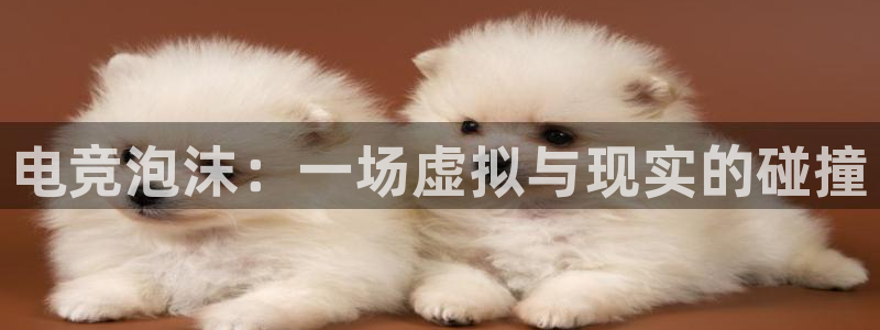 乐鱼电竞app：电竞泡沫：一场虚拟与现实的碰撞