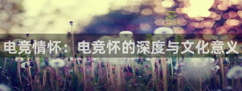 乐鱼电竞英雄联盟app官方：电竞情怀：电竞怀的深度与文化意义