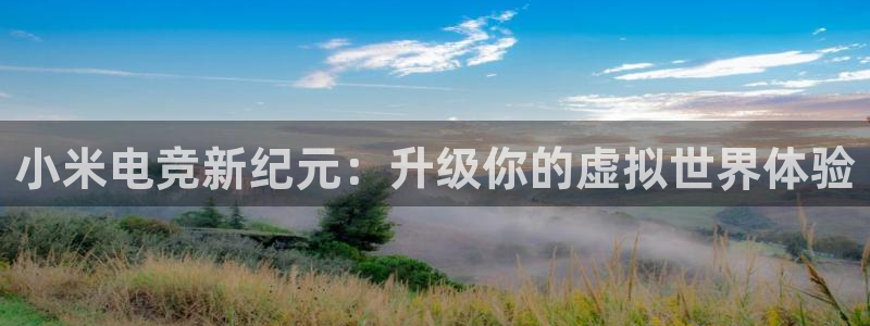 乐鱼电竞官网：小米电竞新纪元：升级你的虚拟世界体验