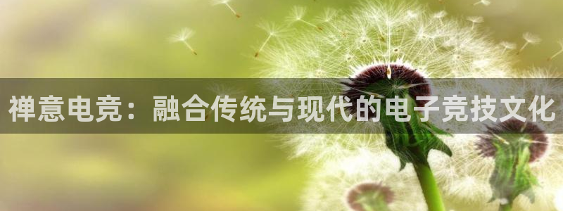 乐鱼电竞app下载：禅意电竞：融合传统与现代的电子竞技文化