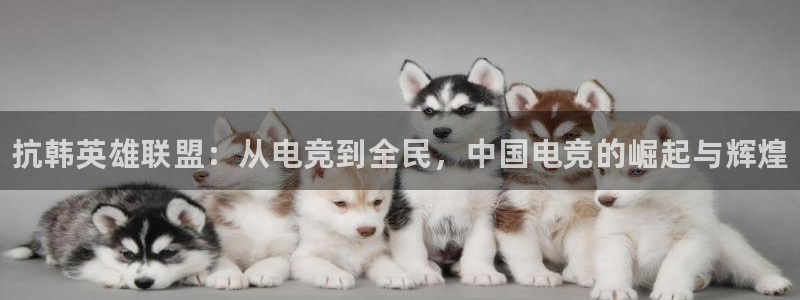 乐鱼电竞下载：抗韩英雄联盟：从电竞到全民，中国电竞的崛起与辉煌