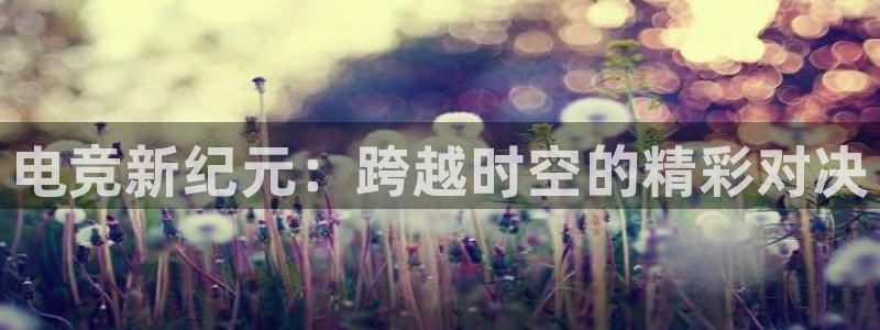 乐鱼电竞官网：电竞新纪元：跨越时空的精彩对决