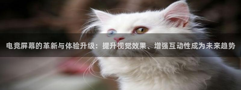 乐鱼电竞官网：电竞屏幕的革新与体验升级：提升视觉效果、增强互动性成为未来趋势