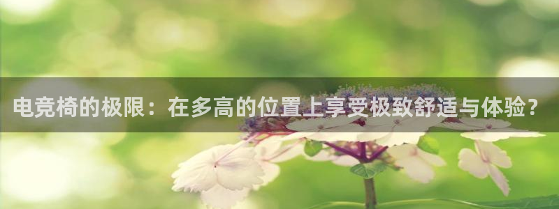 乐鱼电竞：电竞椅的极限：在多高的位置上享受极致舒适与体验？