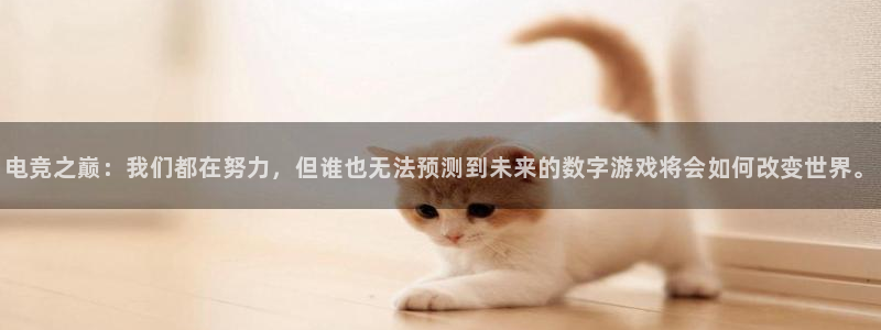 乐鱼电竞网站：电竞之巅：我们都在努力，但谁也无法预测到未来的数字游戏将会如何改变世界。