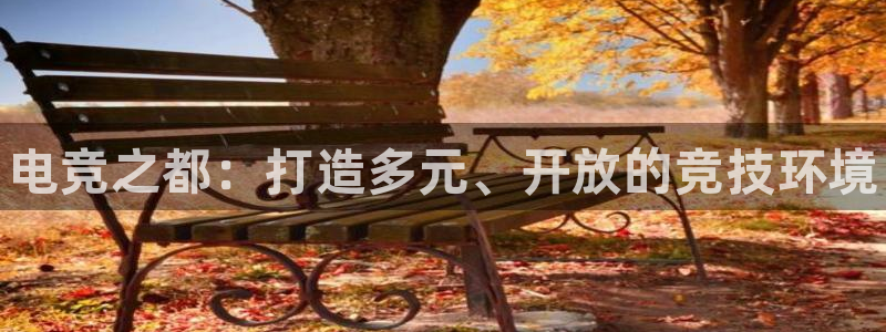 乐鱼电竞英雄联盟app官方：电竞之都：打造多元、开放的竞技环境