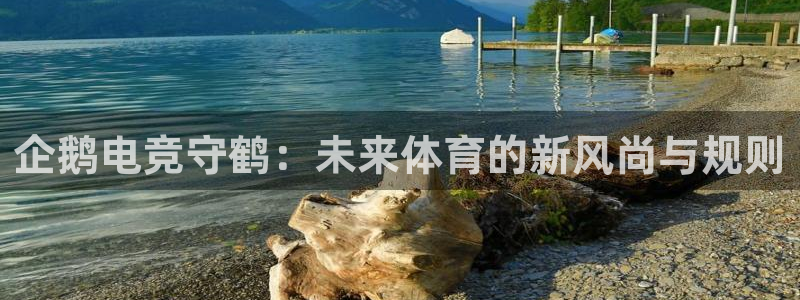 乐鱼电竞下载：企鹅电竞守鹤：未来体育的新风尚与规则