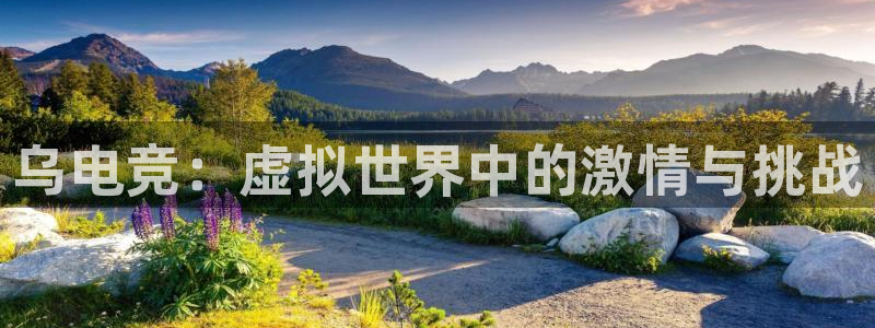乐鱼电竞平台：乌电竞：虚拟世界中的激情与挑战