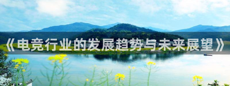 乐鱼电竞app下载：《电竞行业的发展趋势与未来展望》